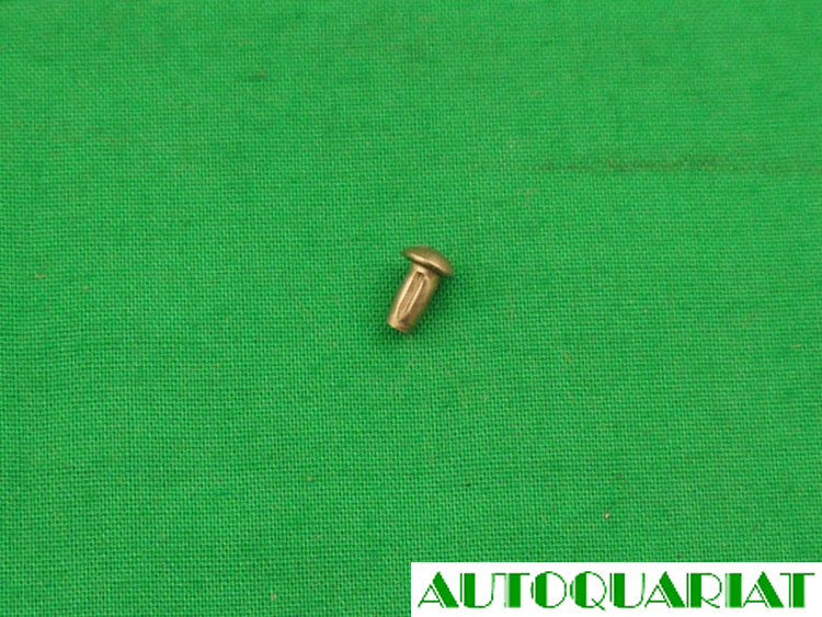 Hammerschraube für Typenschild