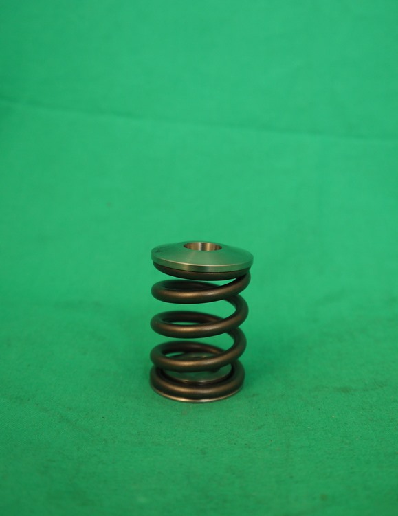 Satz Sportventilfedern