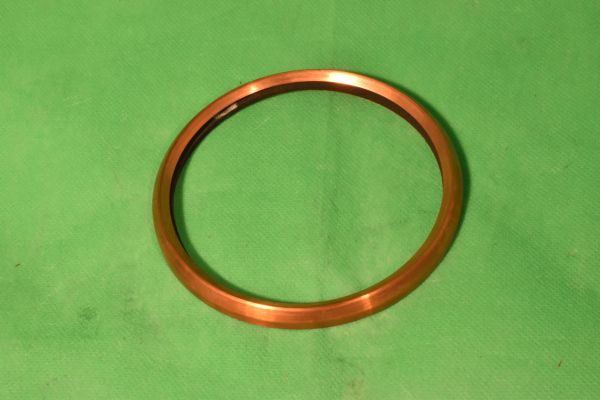 Ring für Haflinger Tacho roh